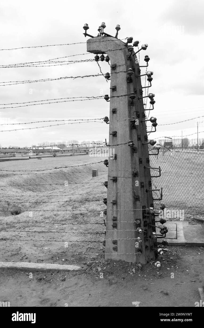 Barbed wire fences, some electric at Auschwitz and Birkenau concentration camps, Poland Stock Photo