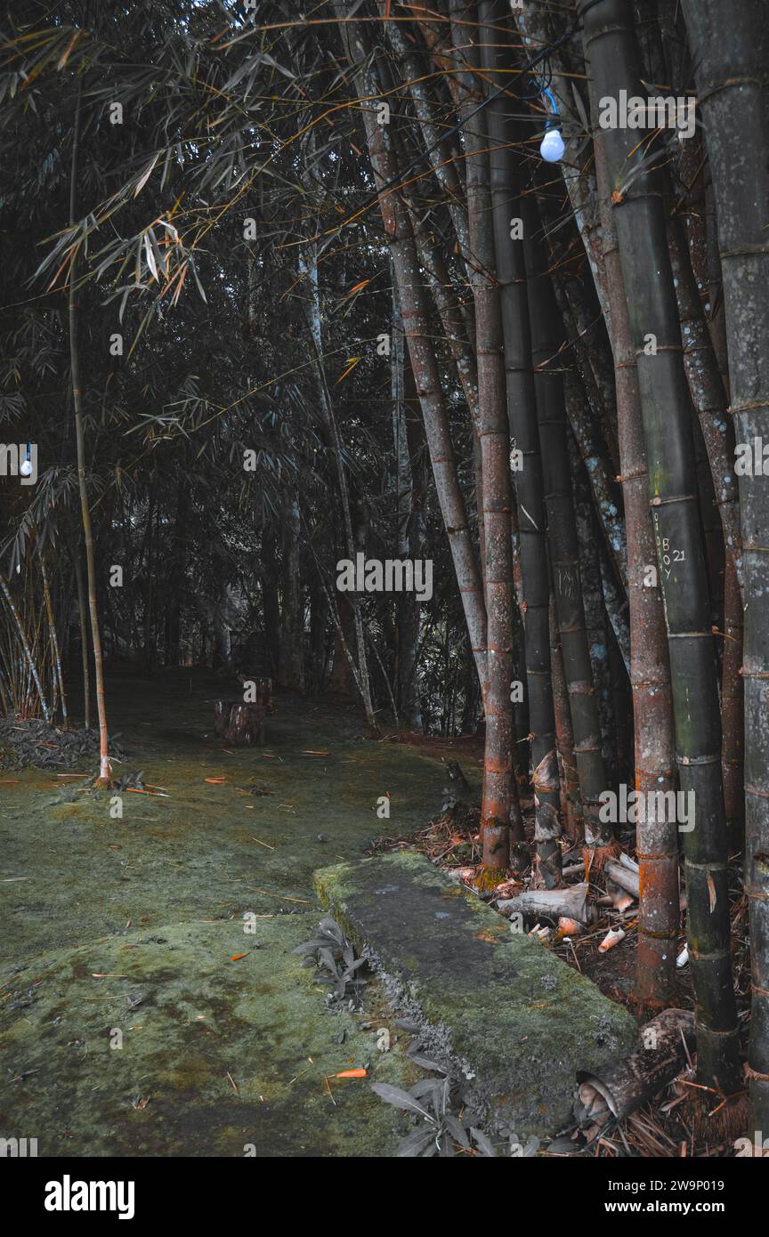 Rustling End