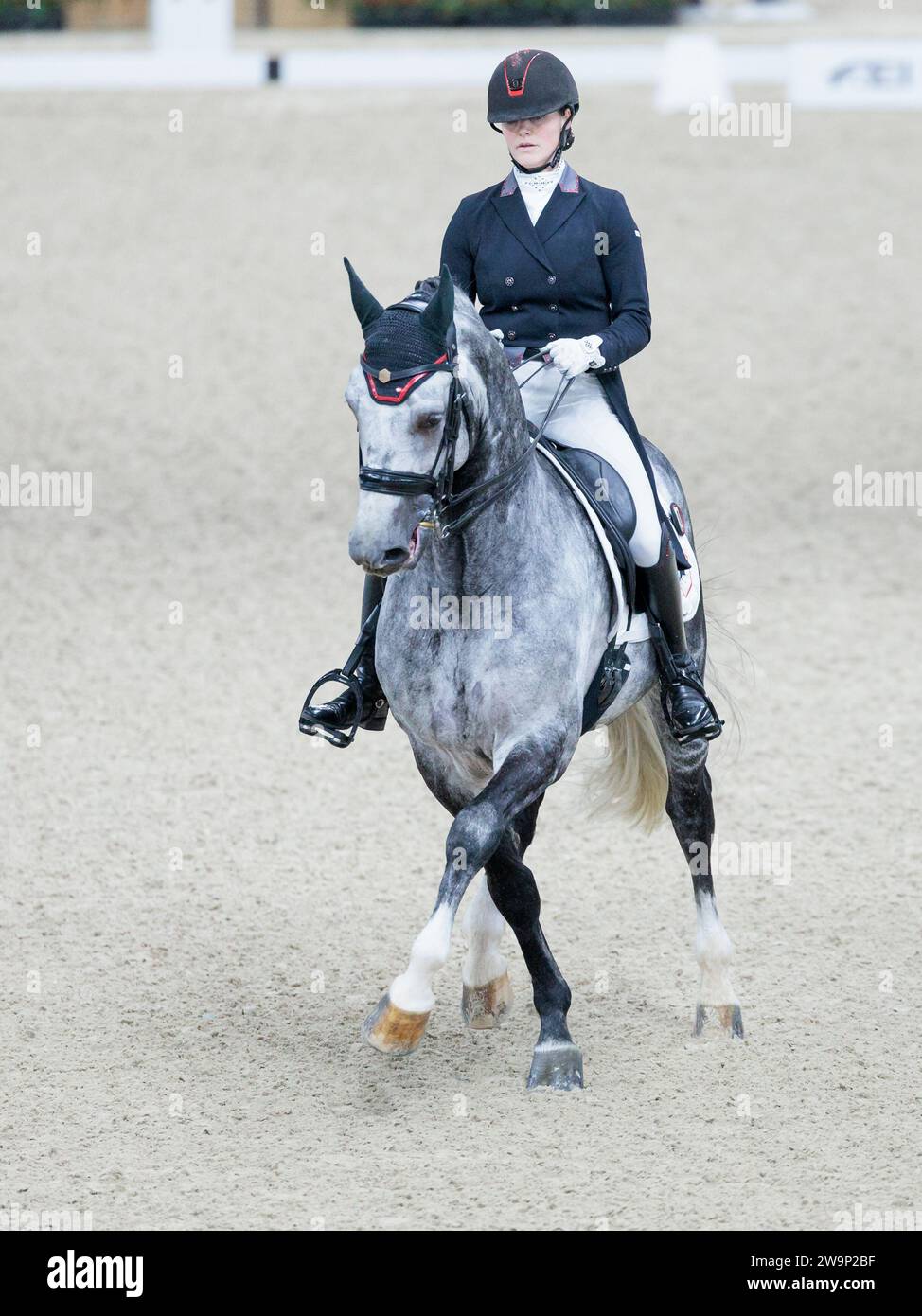 Thamar Zweistra of Netherlands with Hexagon's Ich Weiss during the FEI Dressage World Cup Free Style at the Jumping Mechelen on December 29, 2023, Nekkerhal, Belgium (Photo by Maxime David - MXIMD Pictures) Stock Photo