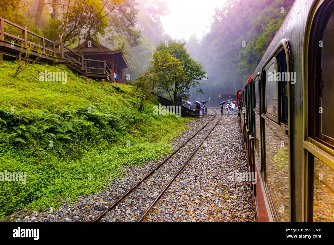 Alishan, Taiwan - October 08 2023 : Red Vintage Train inside Alishan National Forest Park Stock Photo