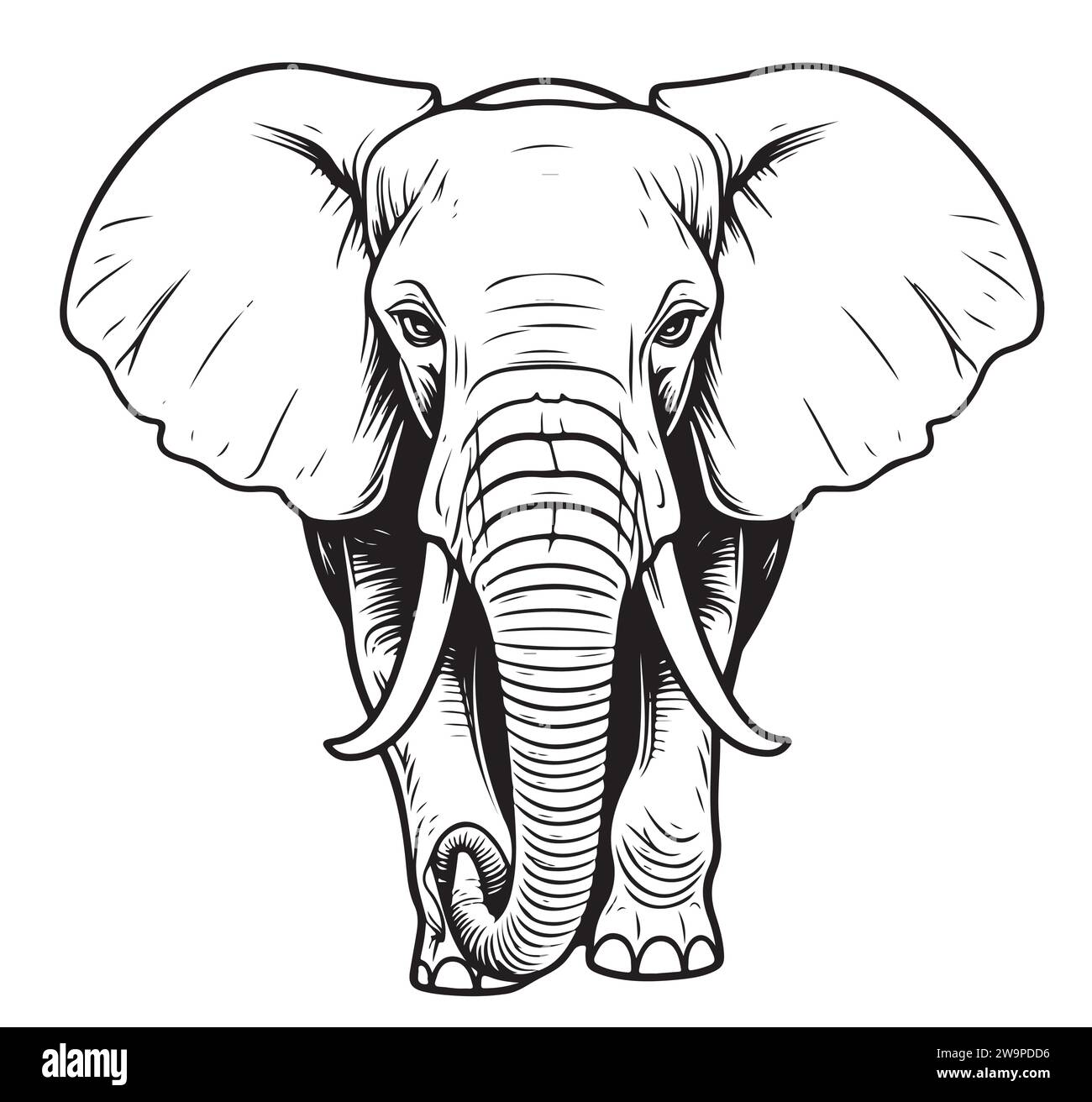 Elephant sketch hand drawn in doodle style Vector illustration Wild ...