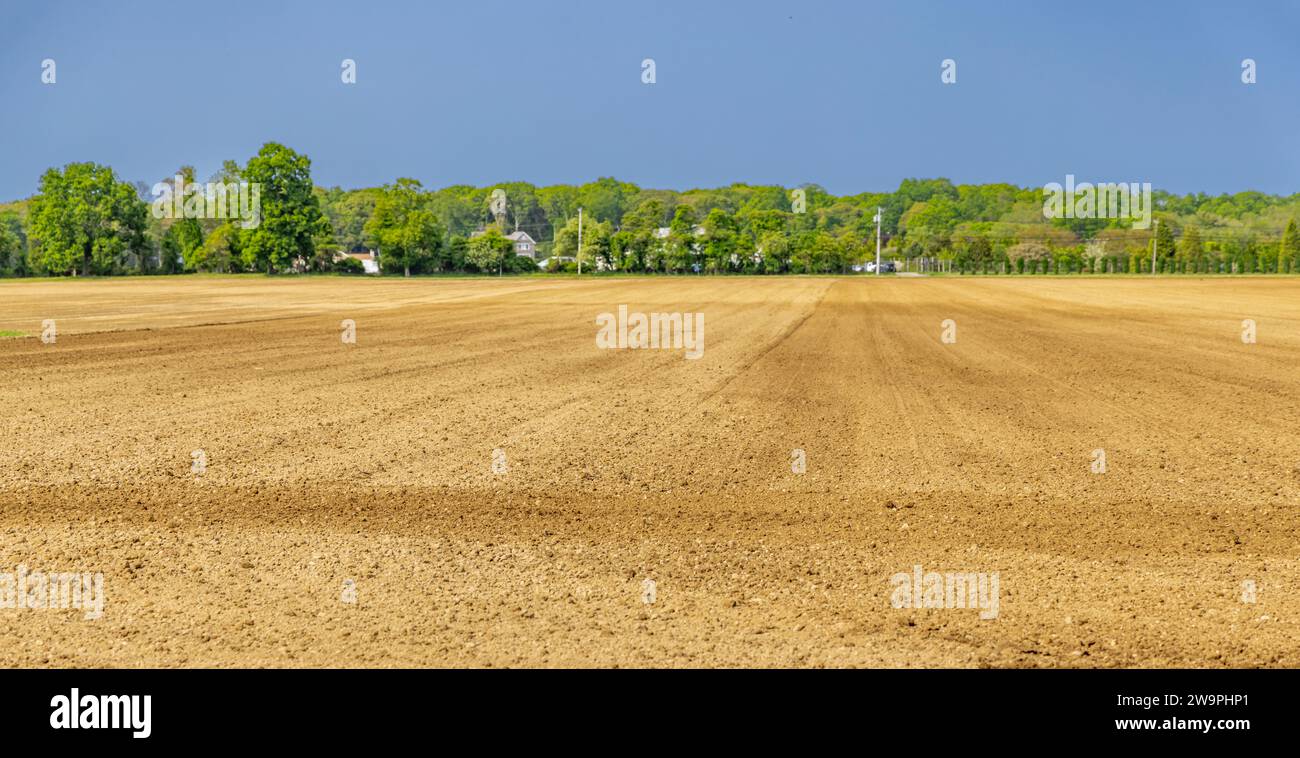 freshly plowed field in east hampton, ny Stock Photo