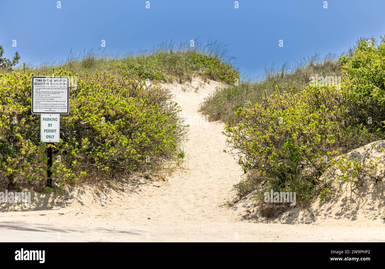 sandy path over the dunes leading to an ocean beach Stock Photo