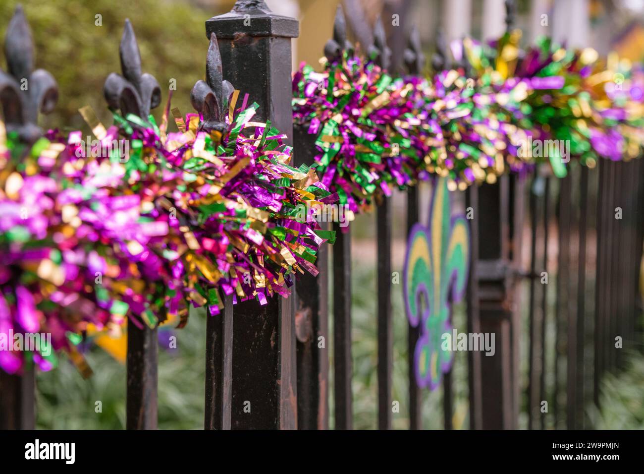 mardi gras colors in french
