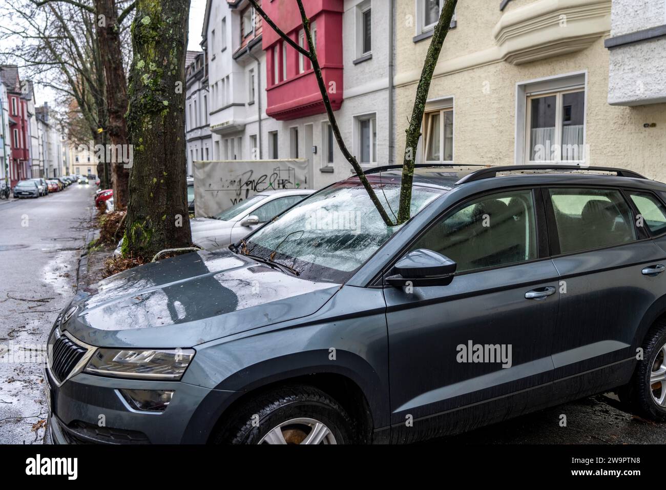 NRW, Germany, storm damage, a 4 metre long branch was broken off by the storm during storm Zoltan and smashed through the windscreen of a parked vehic Stock Photo