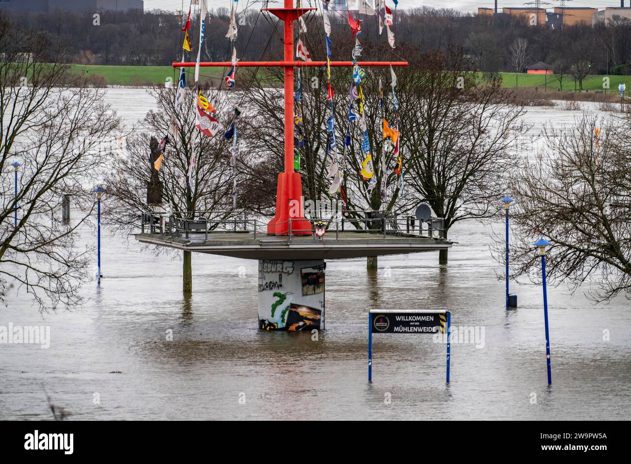 Flood on the Rhine near Duisburg, river near Duisburg-Ruhrort, at the Mühlenweide, completely flooded, NRW, Germany, Stock Photo