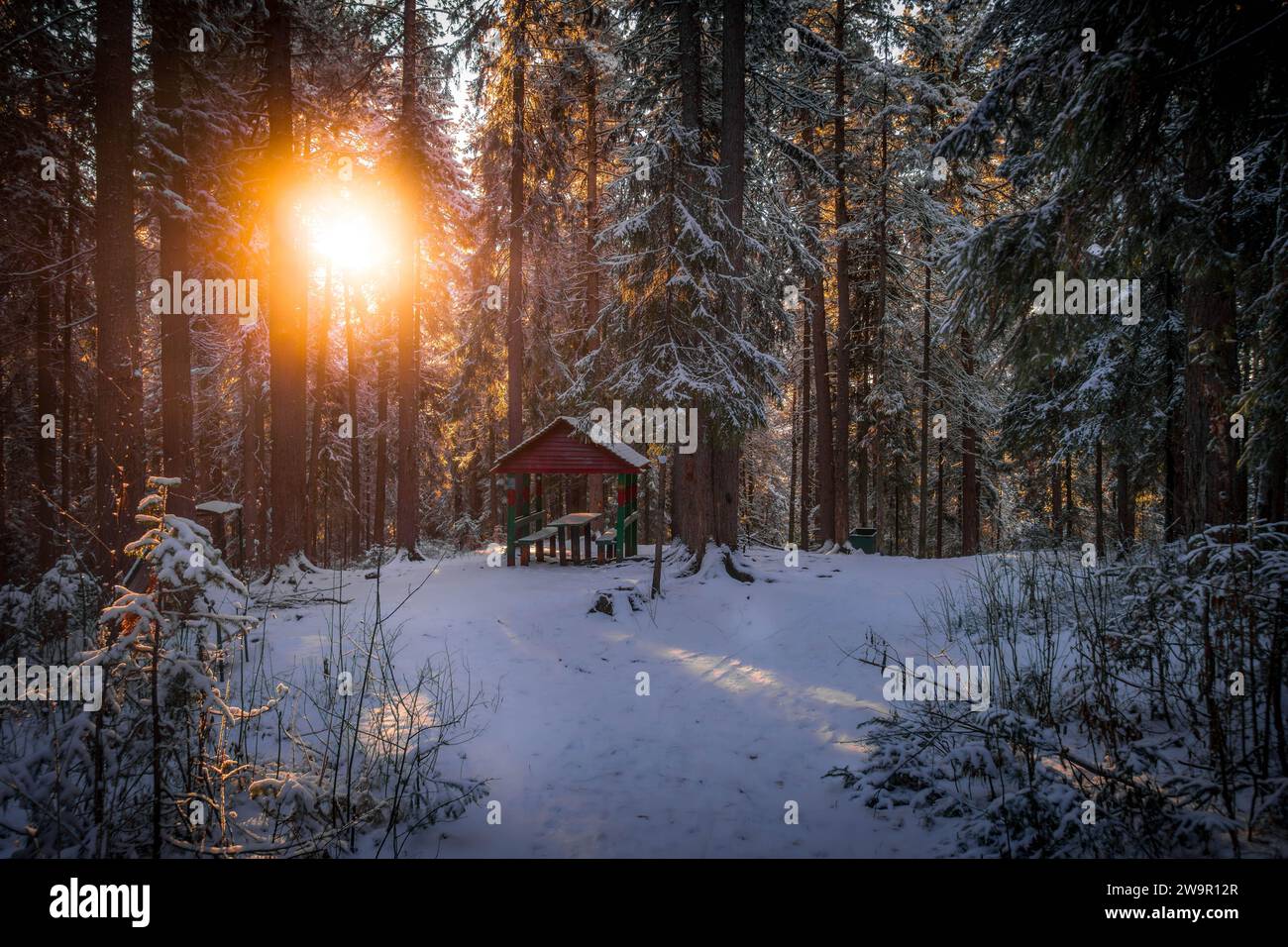 The small cabin in winter forest with snow-covered pine trees with the sunset colors in Siberian taiga at Khanty-Mansiysk, Russia. Stock Photo