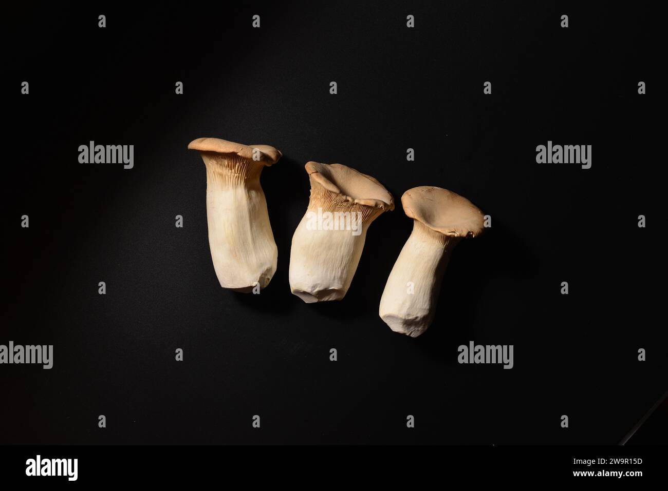 Pleurotus eryngii also known as king trumpet mushroom on black background. Top view Stock Photo