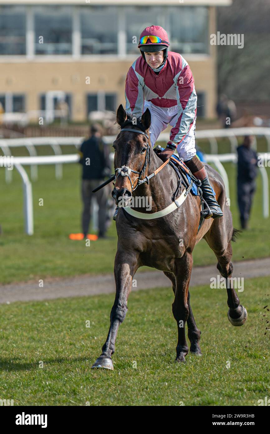 Ambion Hill, runner-up at Wincanton March 21st 2022 Stock Photo