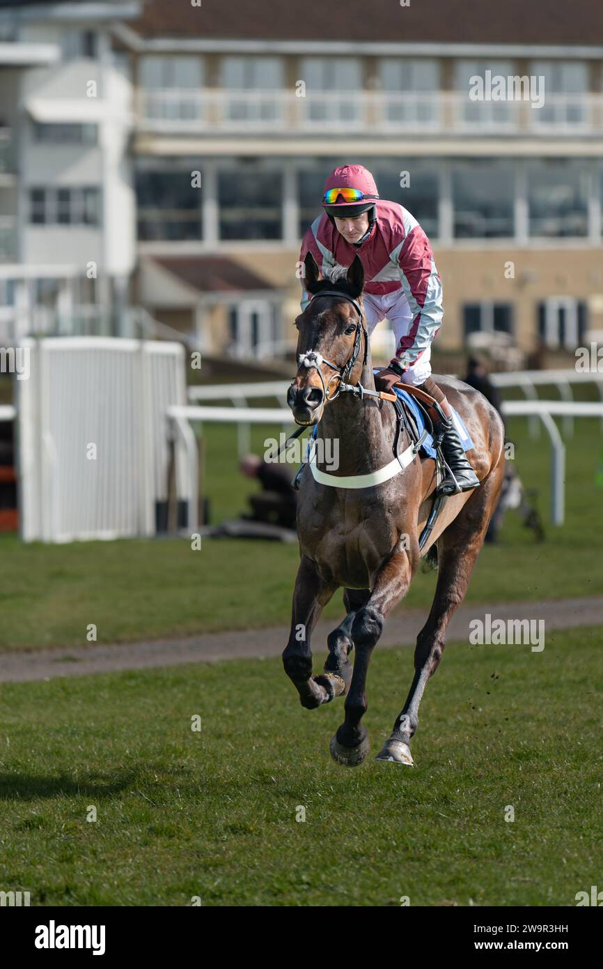 Ambion Hill, runner-up at Wincanton March 21st 2022 Stock Photo