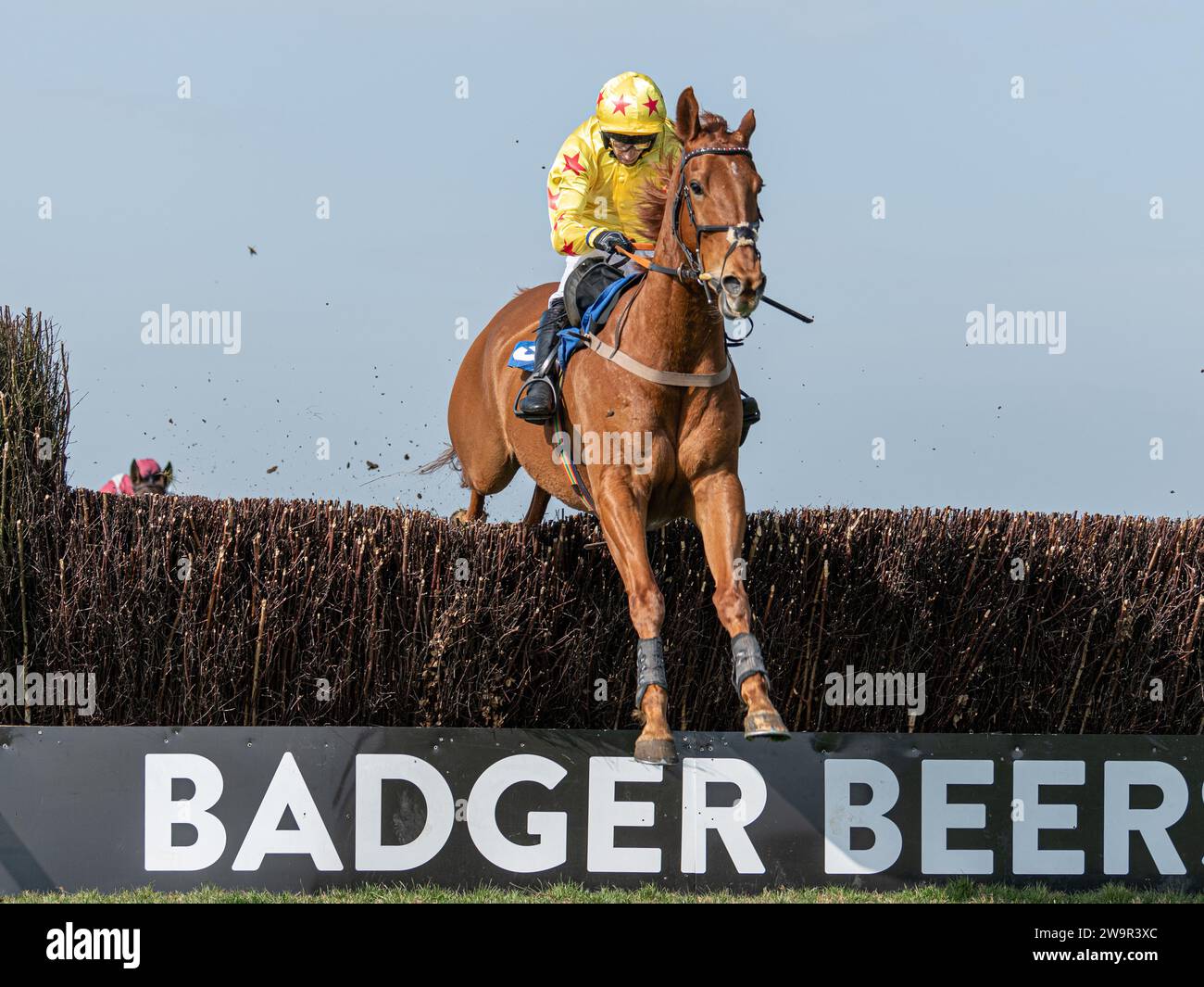 Forget You Not, winner at Wincanton under James Best for Jackie du Plessis, March 21st 2022 Stock Photo