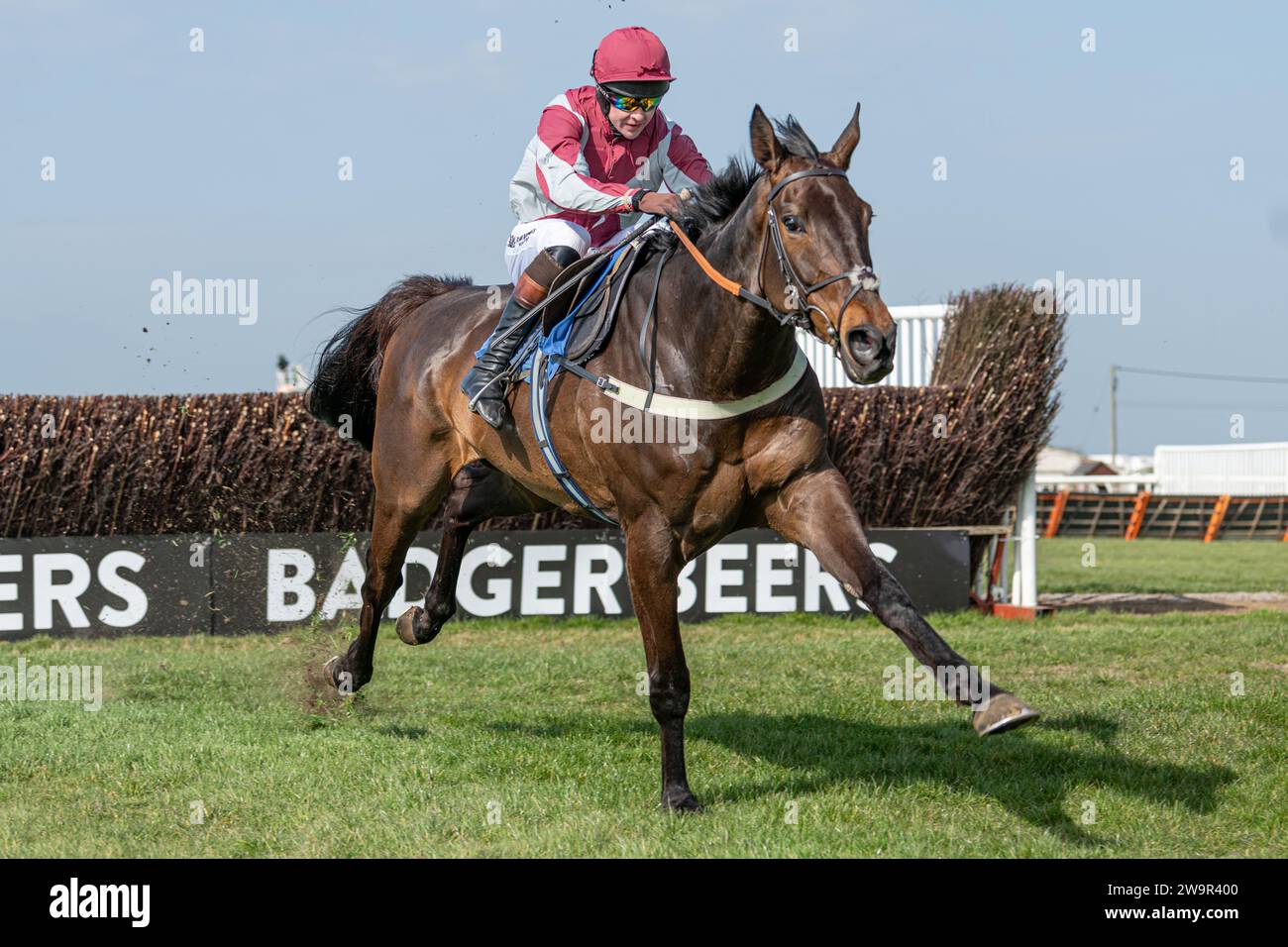 Ambion Hill, runner-up at Wincanton March 21st 2022 Stock Photo