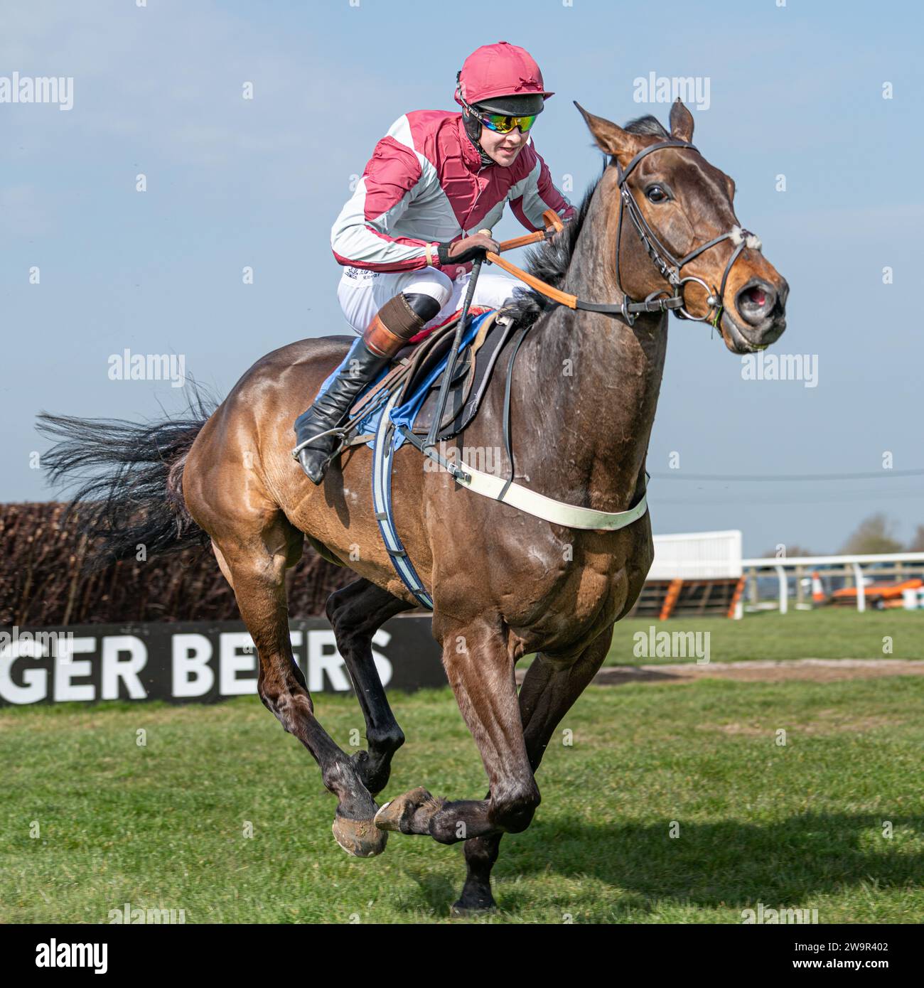 Ambion Hill, runner-up at Wincanton March 21st 2022 Stock Photo