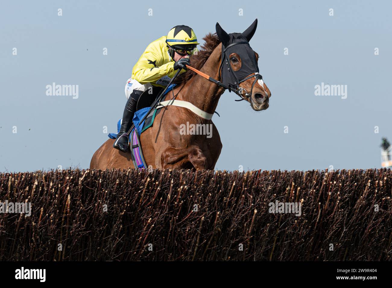 Doyannie, ridden by Lorcan Williams for Jack Barber, at Wincanton March 21st 2022 Stock Photo