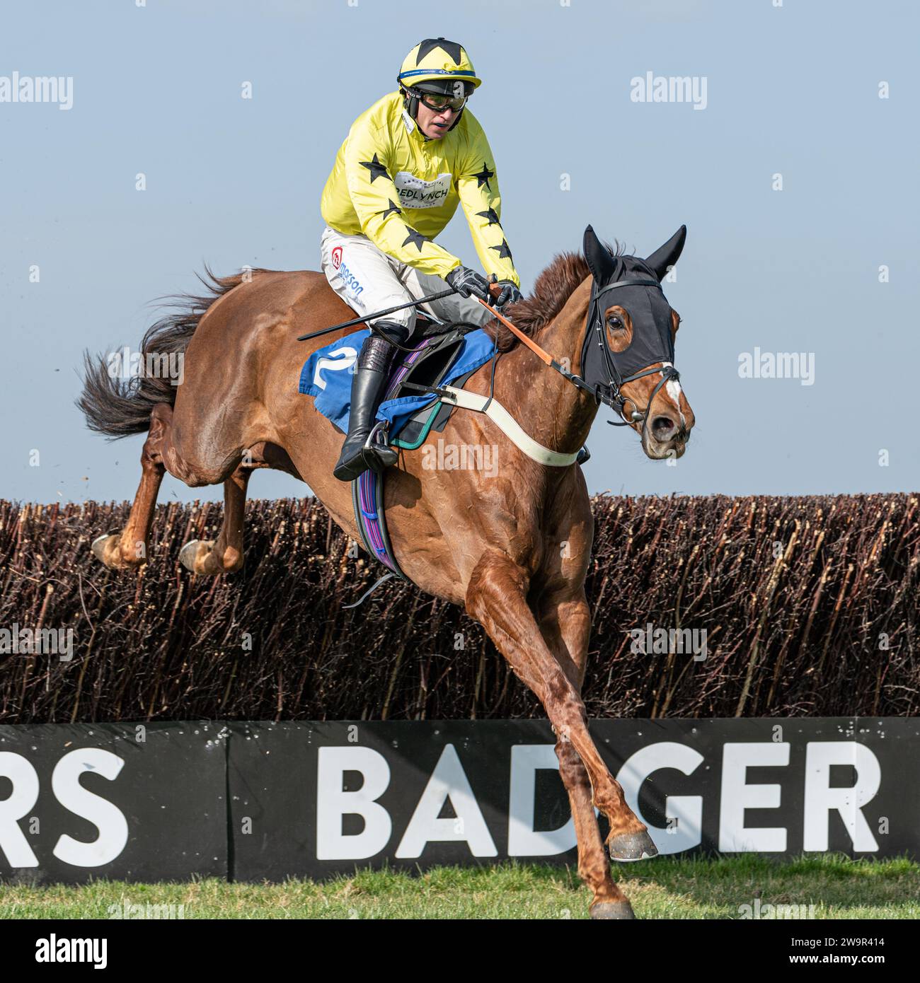 Doyannie, ridden by Lorcan Williams for Jack Barber, at Wincanton March 21st 2022 Stock Photo