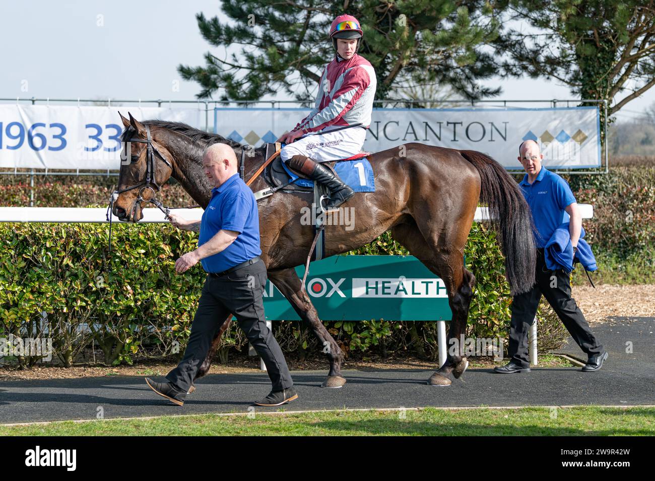 Ambion Hill, runner-up at Wincanton March 21st 2022 Stock Photo