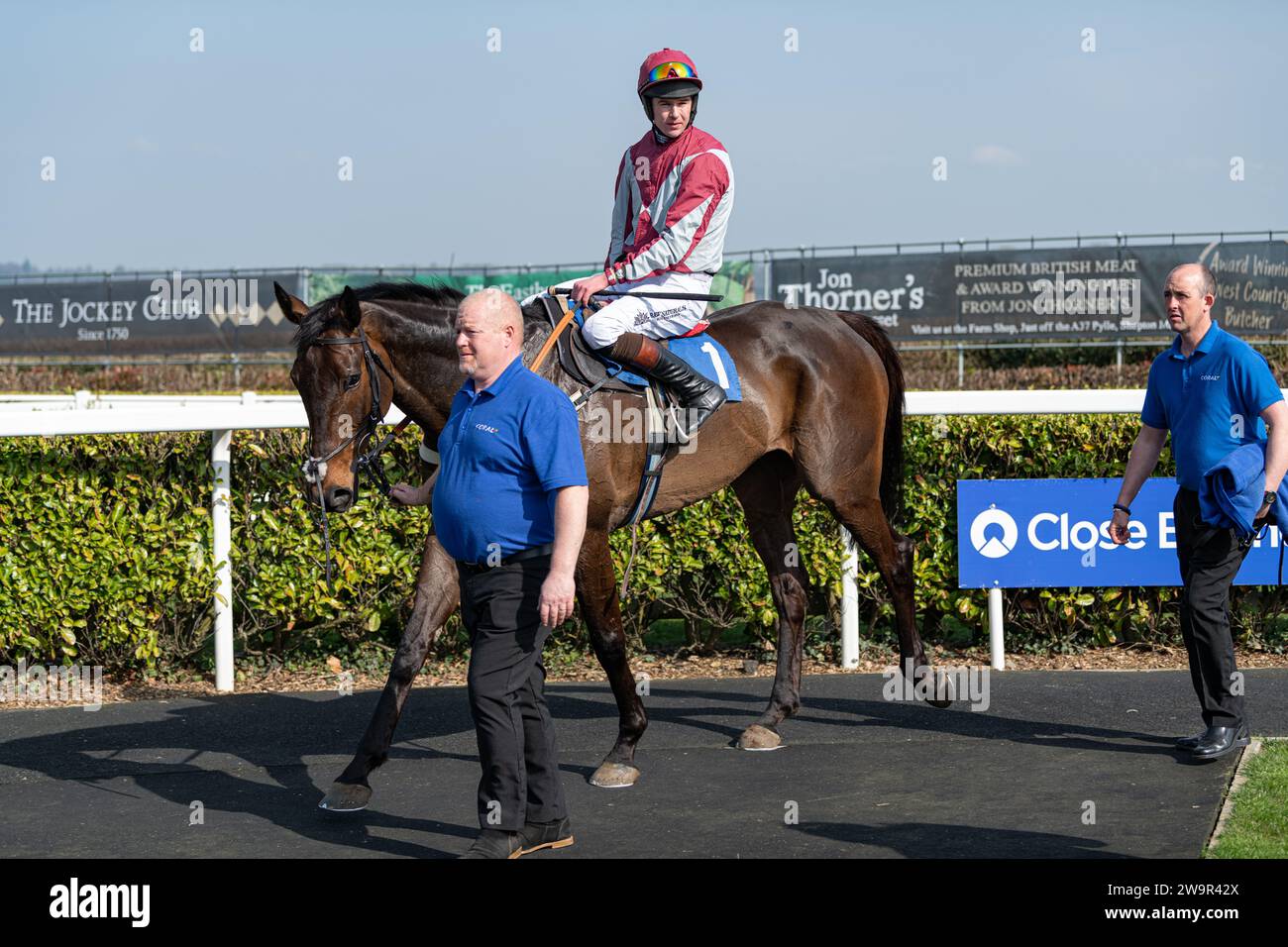 Ambion Hill, runner-up at Wincanton March 21st 2022 Stock Photo
