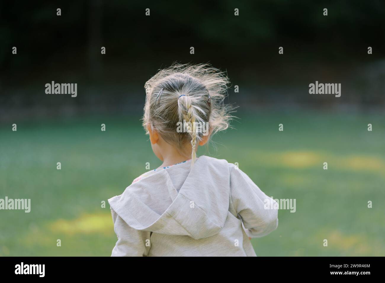 little-girl-with-flowing-hair-walks-through-a-clearing-back-view-stock