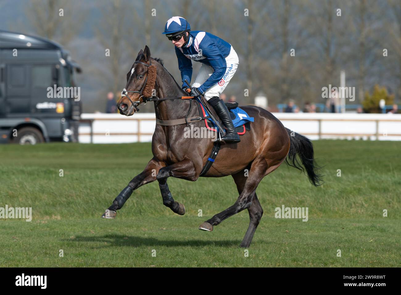Photos of racehorse 'Birds of Prey', ridden by Harry Cobden, trained by Paul Nicholls, at Wincanton racecourse, March 21st 2022 Stock Photo