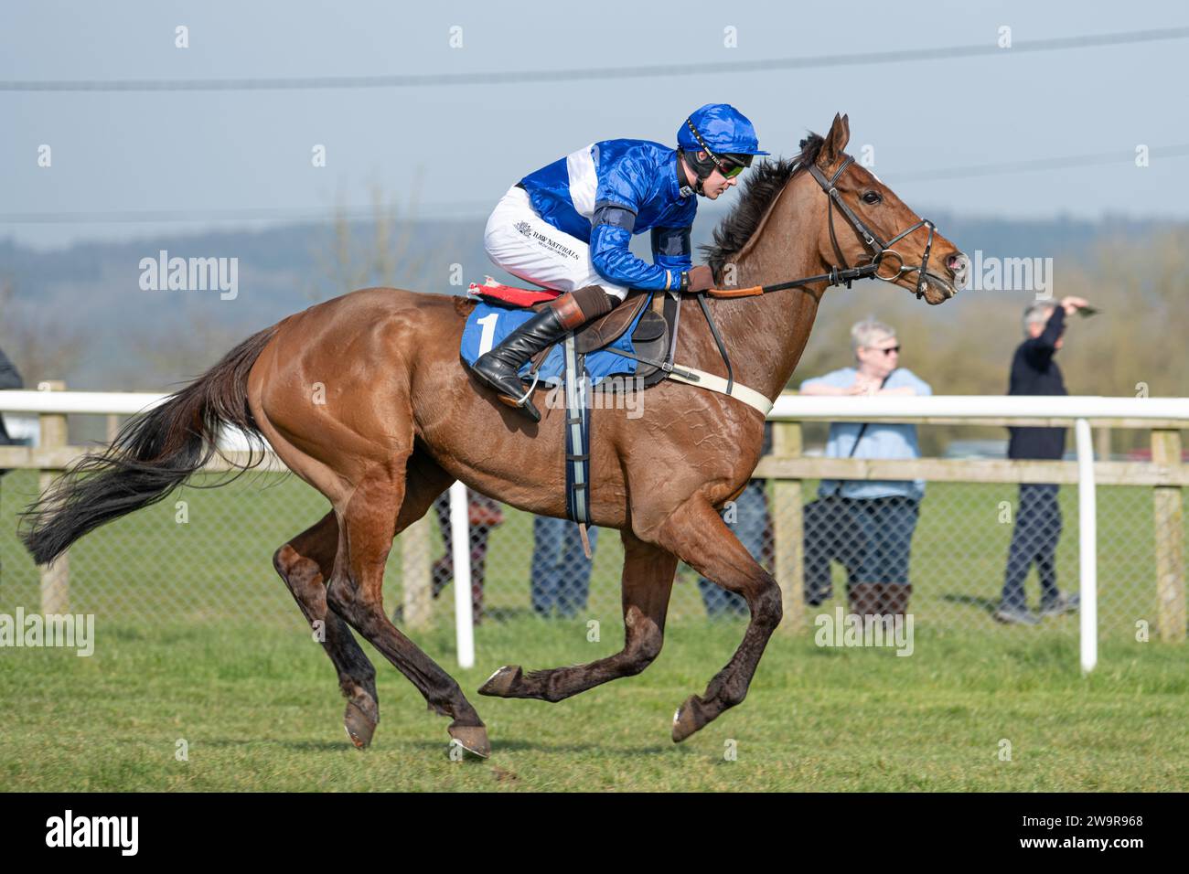 Reserve Tank ridden by Brendan Powell for Joe Tizzard at Wincanton March 21st 2022 Stock Photo