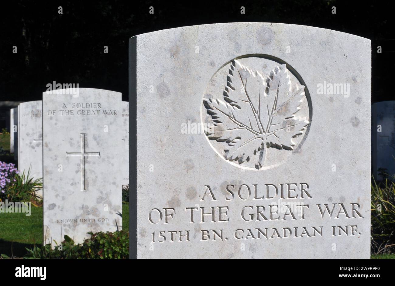Headstones of Commonwealth soldiers killed in the First World War, in Canadian Cemetery No. 2 at the Canadian National Vimy Memorial Park in France. Stock Photo