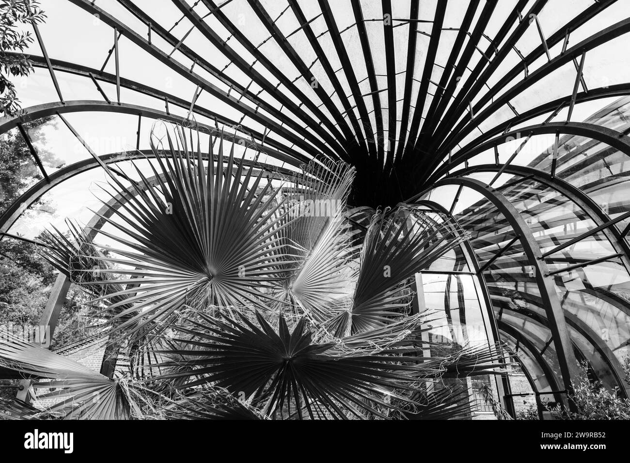 Interior of one of the intertwining cascading glasshouses with a hot and humid tropical climate at Bombay Sapphire, Laverstoke Mill. UK Stock Photo
