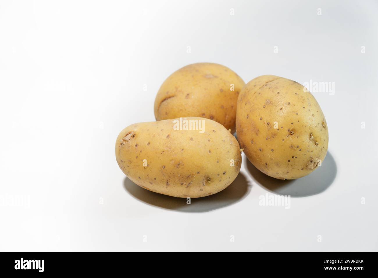 Three raw potatoes on a light gray background, carbohydrate-containing root vegetable and staple food in many parts of the world, copy space, selected Stock Photo