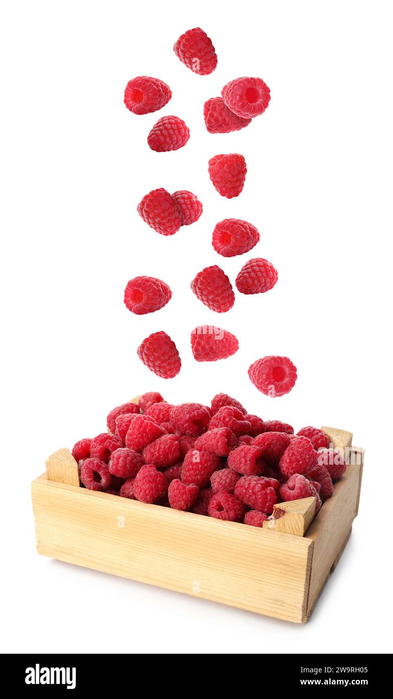 Fresh ripe raspberries falling into wooden crate on white background ...
