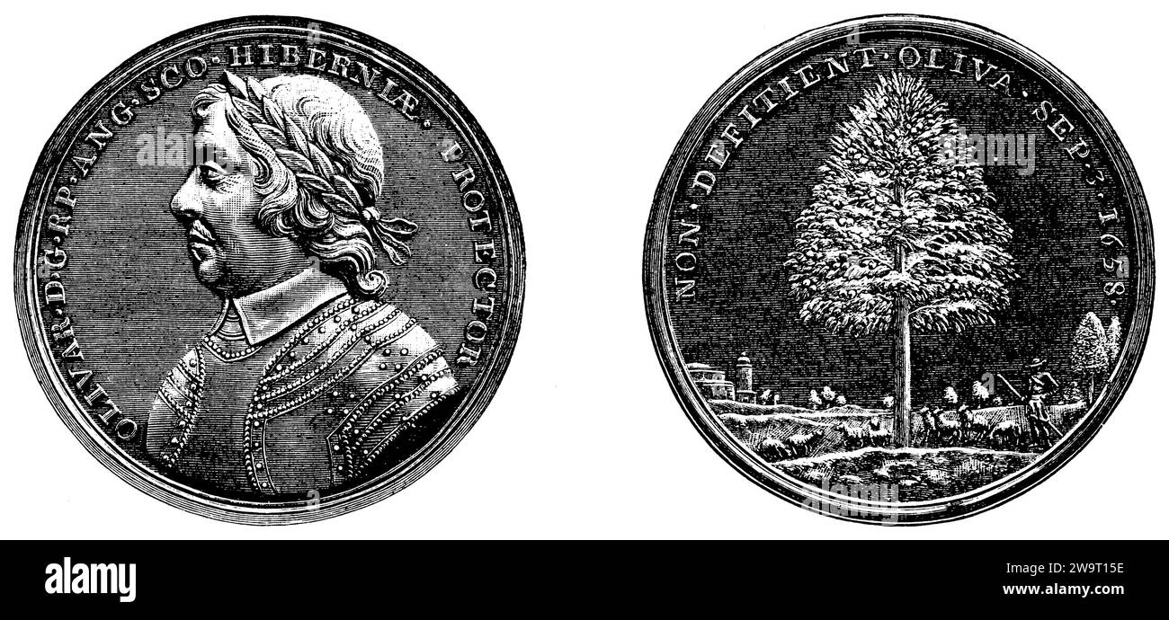 Oliver Cromwell (1599-1658), British Lord Protector, English commemorative coin on the death of Oliver Cromwell from 1658. After an original in the possession of Mr. Frederik Müller in Amsterdam. In front the bust of Cromwell, on the reverse an olive tree with the inscription: Non defitient Oliva. Approximately: 'the olive tree (pun on Oliver) will not lack fruit'., ,  (history book, 1899), Oliver Cromwell (1599-1658), britischer Lord Protector, Englische Gedenkmünze auf den Tod Oliver Cromwells aus dem Jahre 1658. Nach einem Original im Besitze des Herrn Frederik Müller in Amsterdam. Vorne di Stock Photo