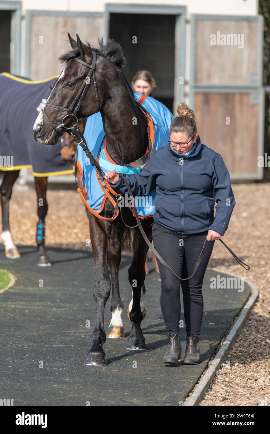 Glajou, trained by Paul Nicholls and ridden by Harry Cobden, places third in the Class 3 handicap chase at Wincanton, March 21st 2022 Stock Photo