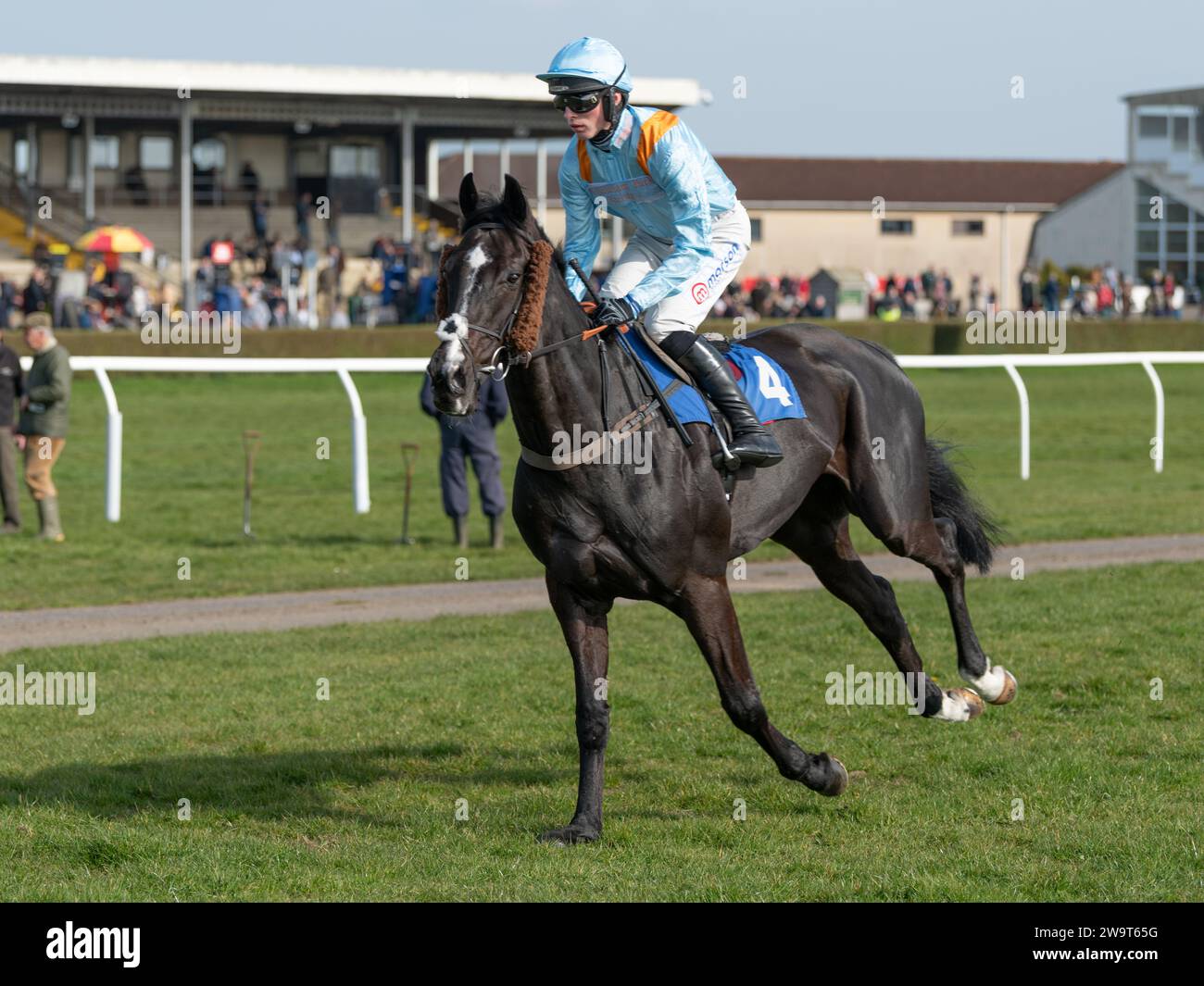 Glajou, trained by Paul Nicholls and ridden by Harry Cobden, places third in the Class 3 handicap chase at Wincanton, March 21st 2022 Stock Photo
