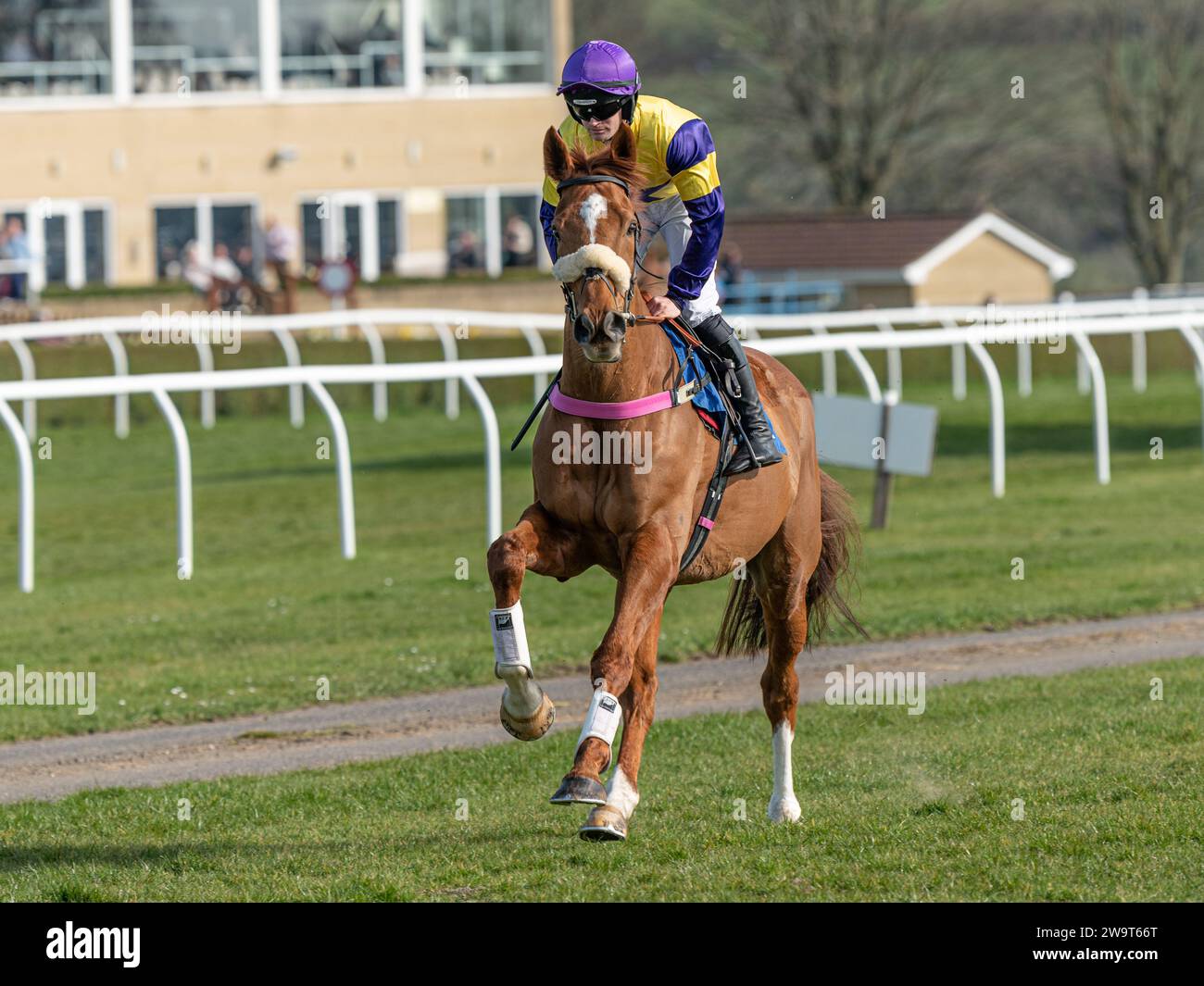 Financier, ridden by Richard Patrick and trained by Kerry Lee, running in the Handicap Steeple Chase at Wincanton, March 21st 2022 Stock Photo