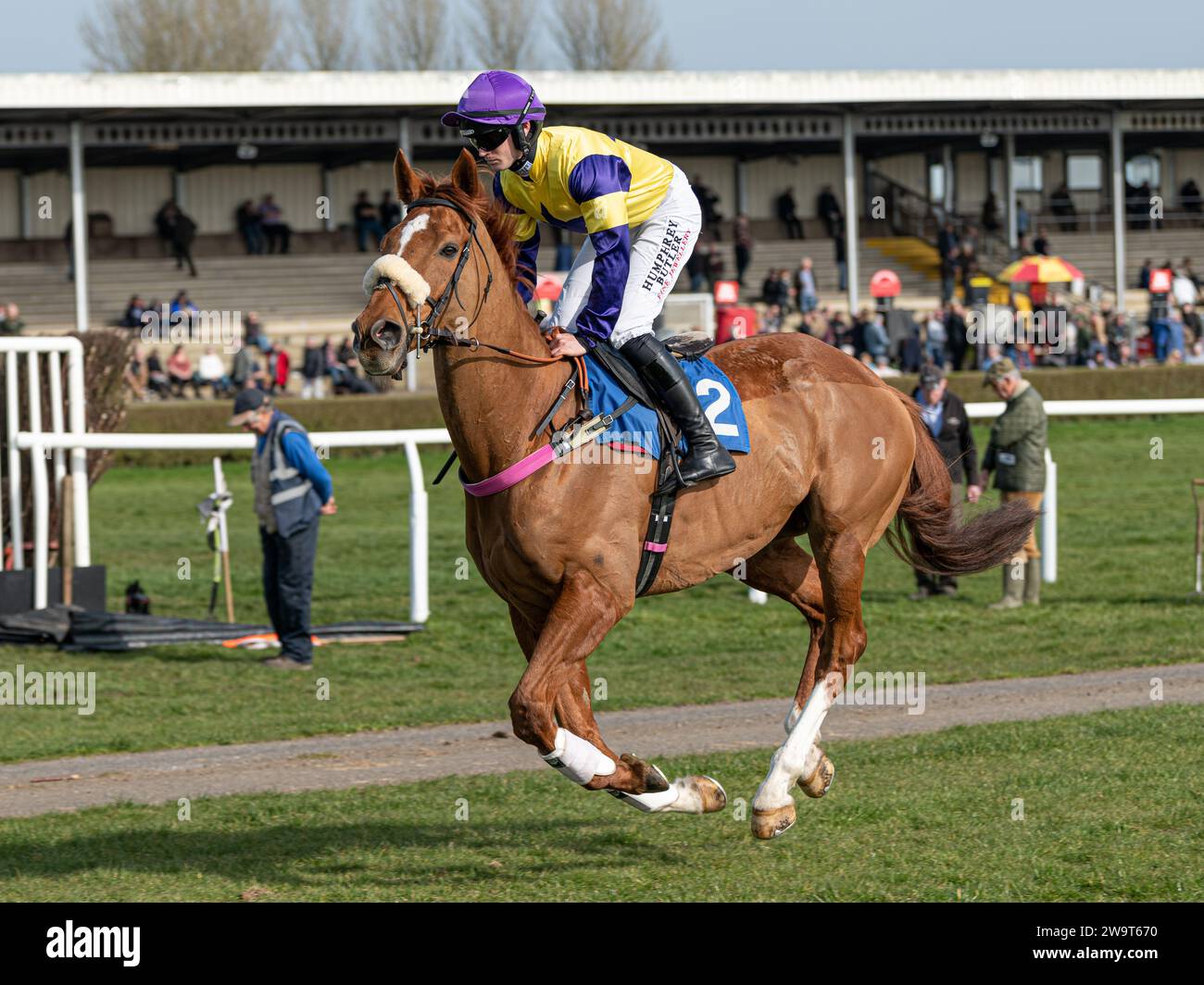 Financier, ridden by Richard Patrick and trained by Kerry Lee, running in the Handicap Steeple Chase at Wincanton, March 21st 2022 Stock Photo