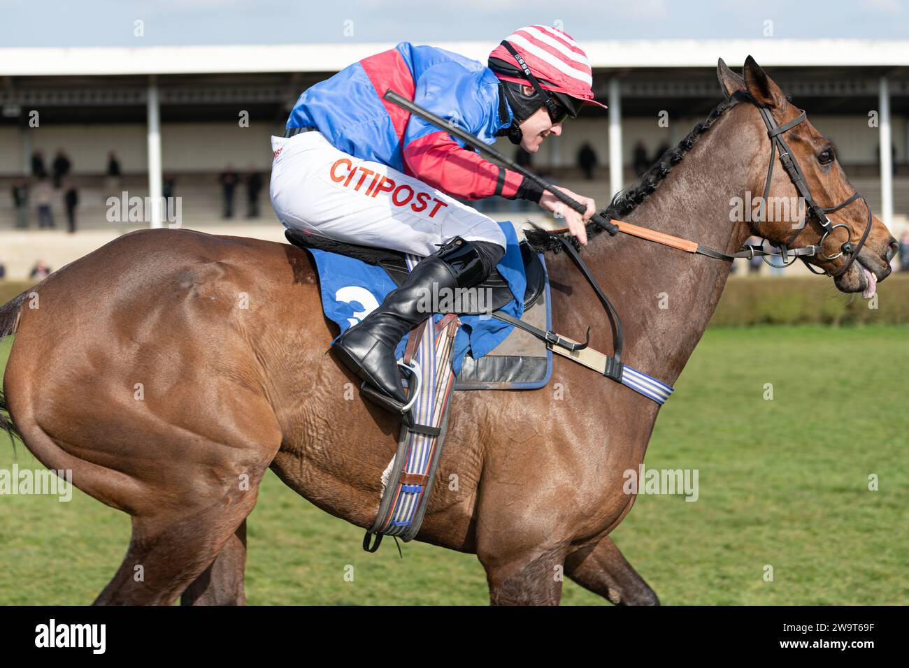 The Russian Doyen, ridden by Nick Scholfield and trained by Jeremy Scott, is runner-up in the Class 3 handicap steeple chase at Wincanton, March 21st Stock Photo