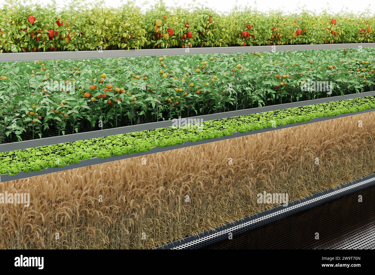 indoor vertical farming - 3D-Illustration Stock Photo