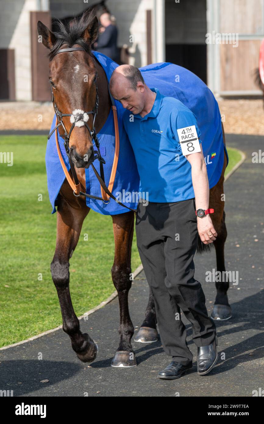 Name in Lights being led around the pre-race parade by Richie Stock Photo