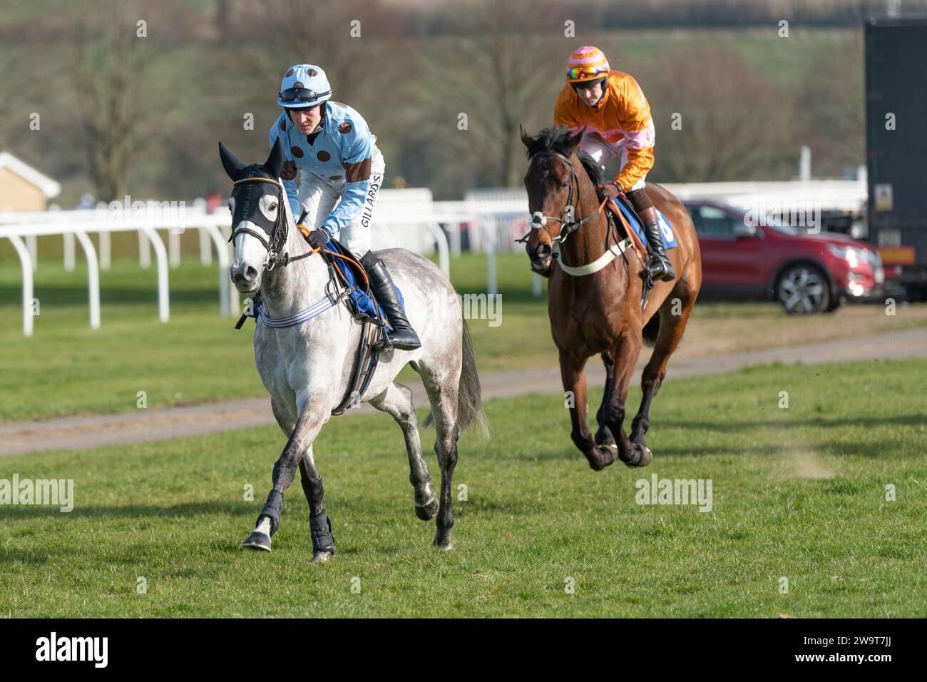 What a Pleasure, ridden by David Noonan, followed by Name in Lights, ridden by Brendan Powell, canter to the start of race 4 at Wincanton Stock Photo