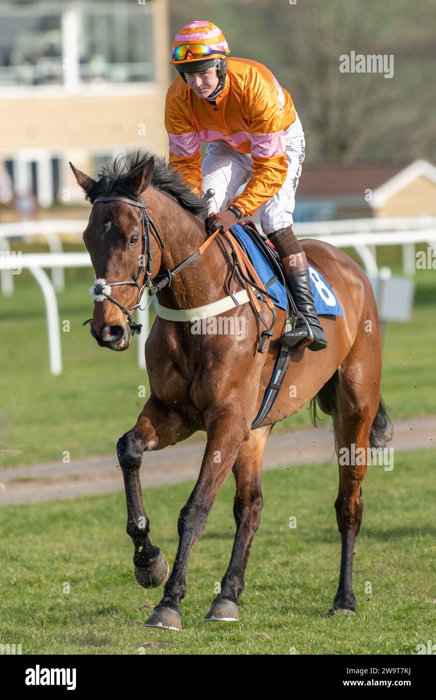 Name in Lights, winner of the 4th race at Wincanton, canters to the start under jockey Brendan Powell,  March 21st 2022 Stock Photo