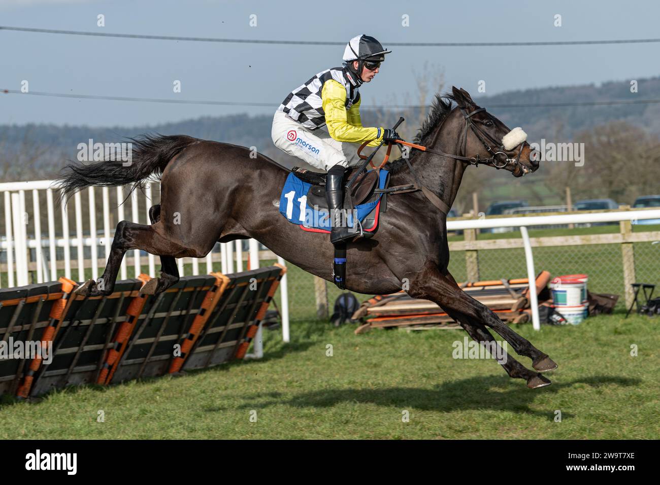 Photos of Petrossian, ridden by Harry Cobden and trained by Paul Nicholls, running over hurdles at Wincanton, March 21st 2022 Stock Photo