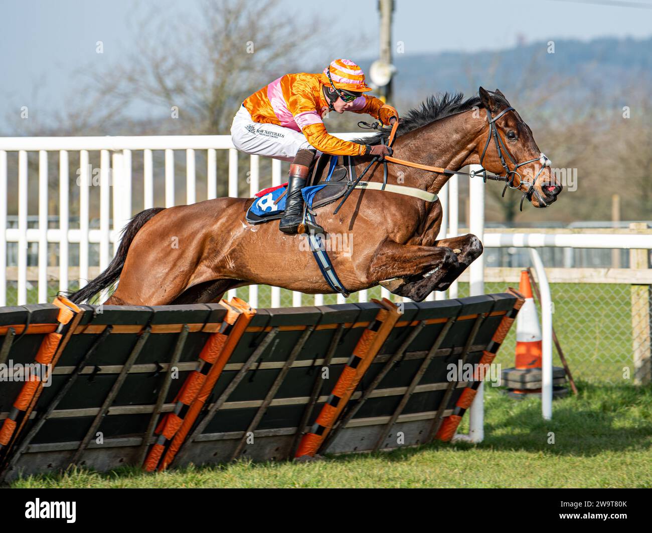 Name in Lights, under jockey Brendan Powell, clears the hurdle to go on and win the 4th race at Wincanton, March 21st 2022. Trained by Colin Tizzard. Stock Photo