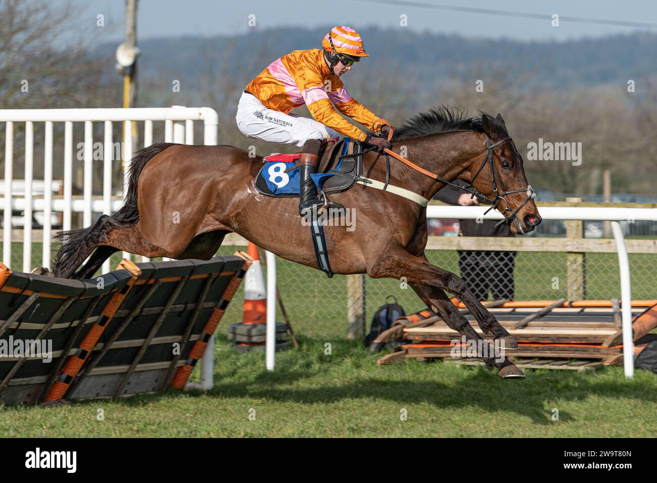 Name in Lights, under jockey Brendan Powell, clears the hurdle to go on and win the 4th race at Wincanton, March 21st 2022. Trained by Colin Tizzard. Stock Photo