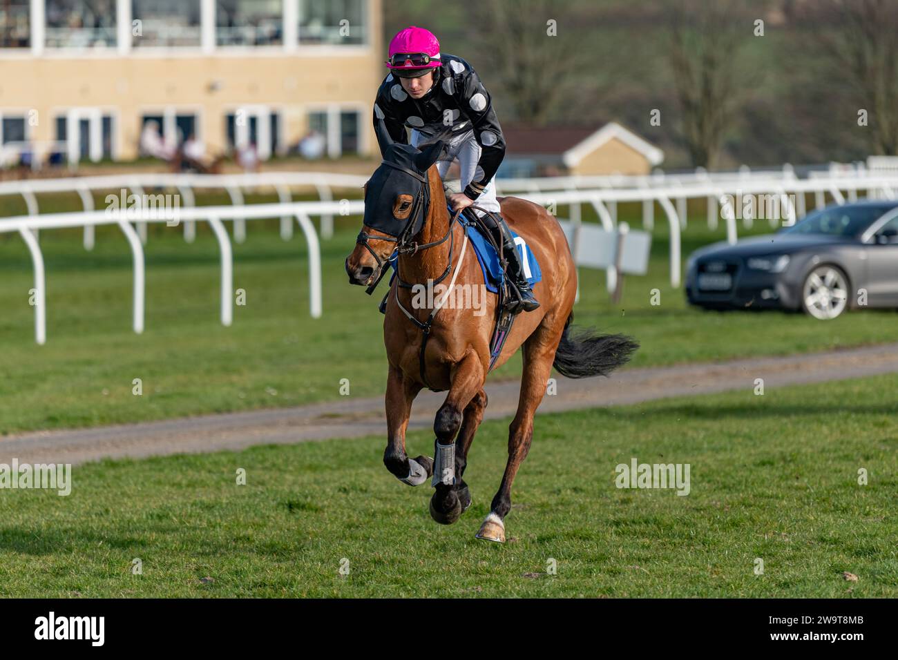 Max Dynamo, ridden by Jordan Nailor and trained by Emma-Jane Bishop, canter to the start of the Class 4 Steeple chase at Wincanton, March 21st 2022 Stock Photo