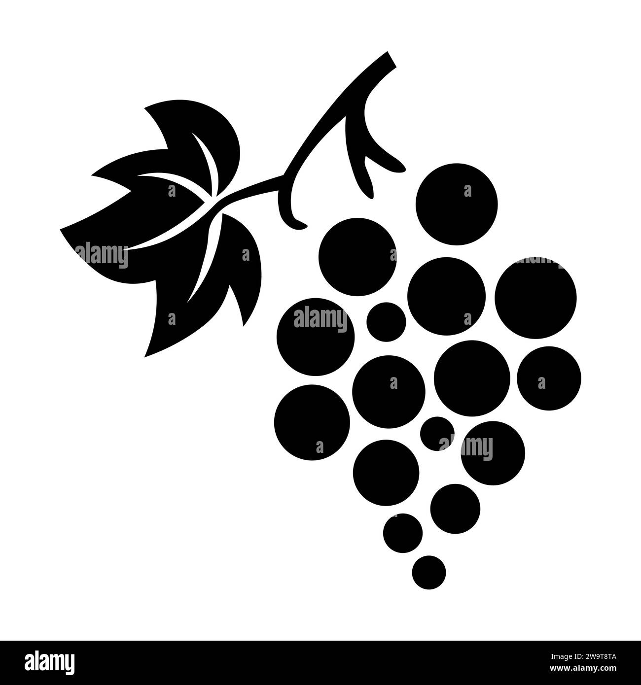 White grapes hanging on vine Stock Vector Images - Alamy