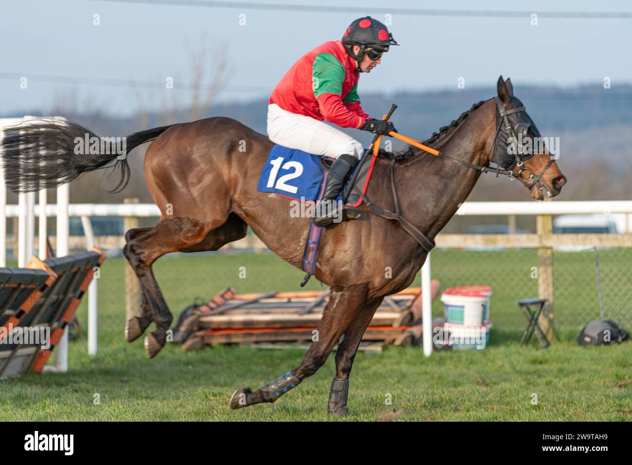 Comeragh Lad, ridden by David Pichard and trained by Ryan Chapman, running over hurdles at Wincanton, March 21st 2022 Stock Photo