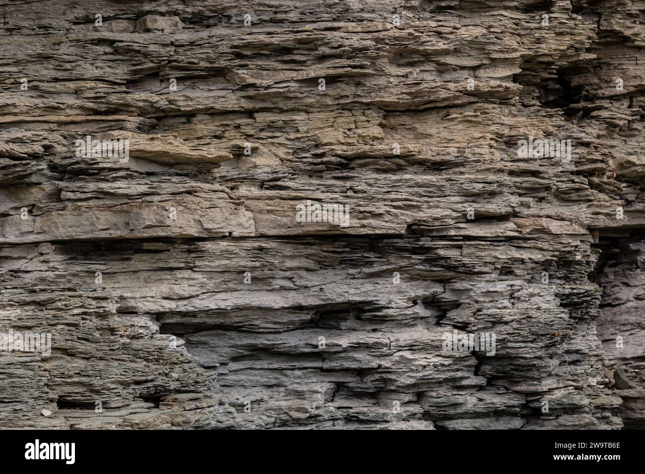 Most of the rocks exposed at the surface of Earth are sedimentary rock ...
