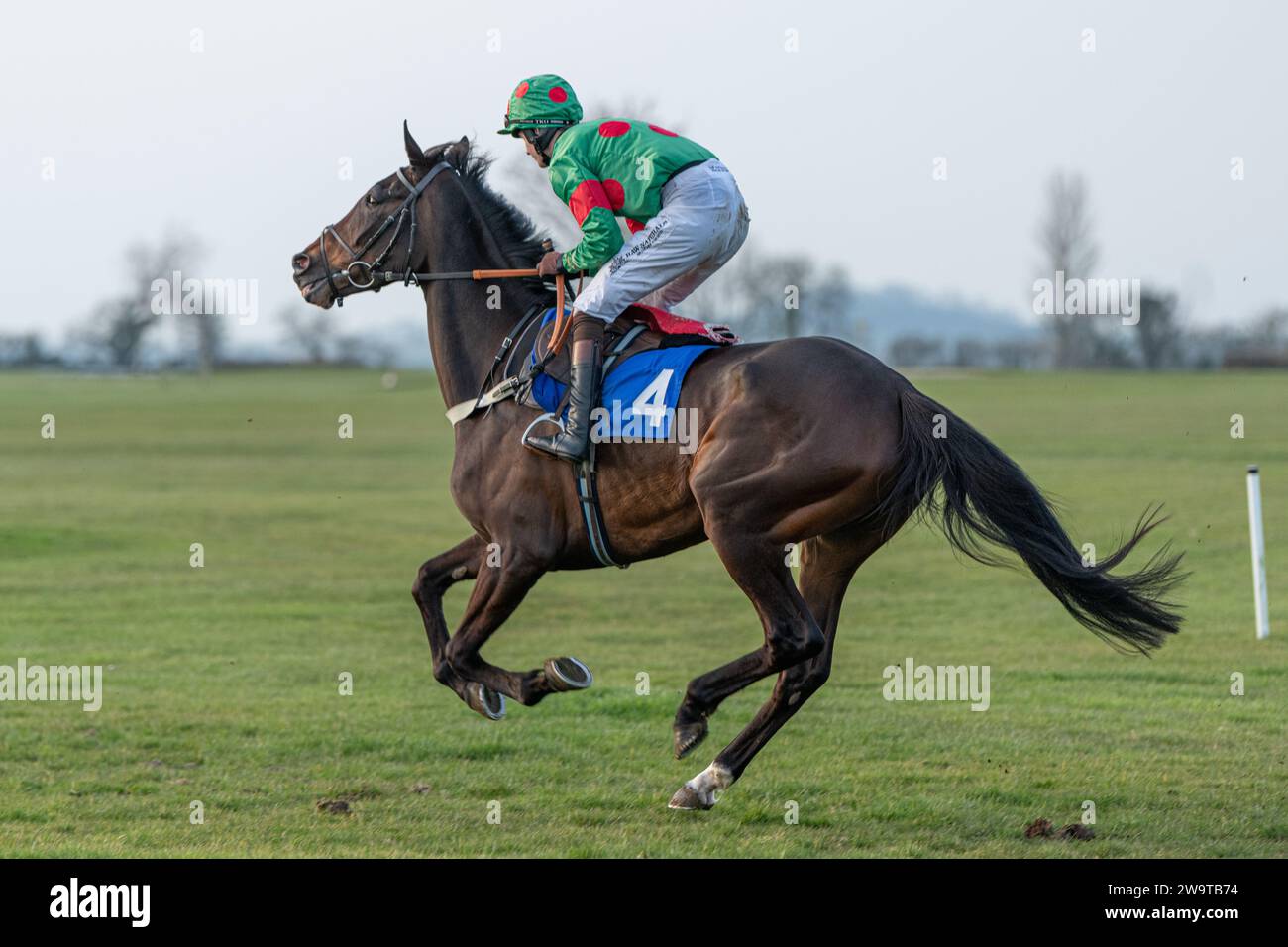 West Orchard, ridden by Brendan Powell and trained by Colin Tizzard, running in the Class 5 Handicap Hurdle at Wincanton, March 21st 2022 Stock Photo
