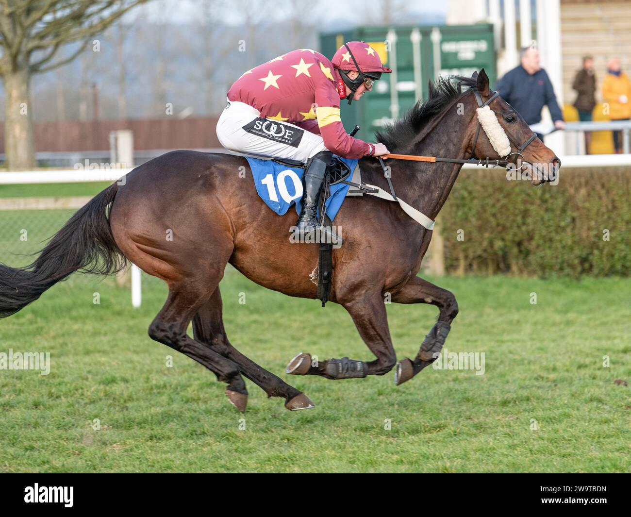 Mizz Moondance, ridden by Jack Martin and trained by Bob Buckler