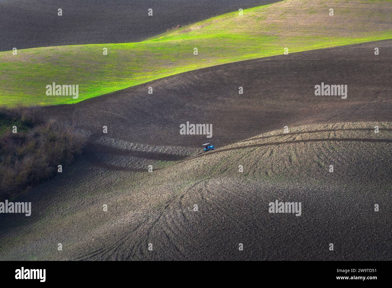 Tractor plowing the fields in Tuscany at sunset. Volterra, Pisa province. Italy Stock Photo