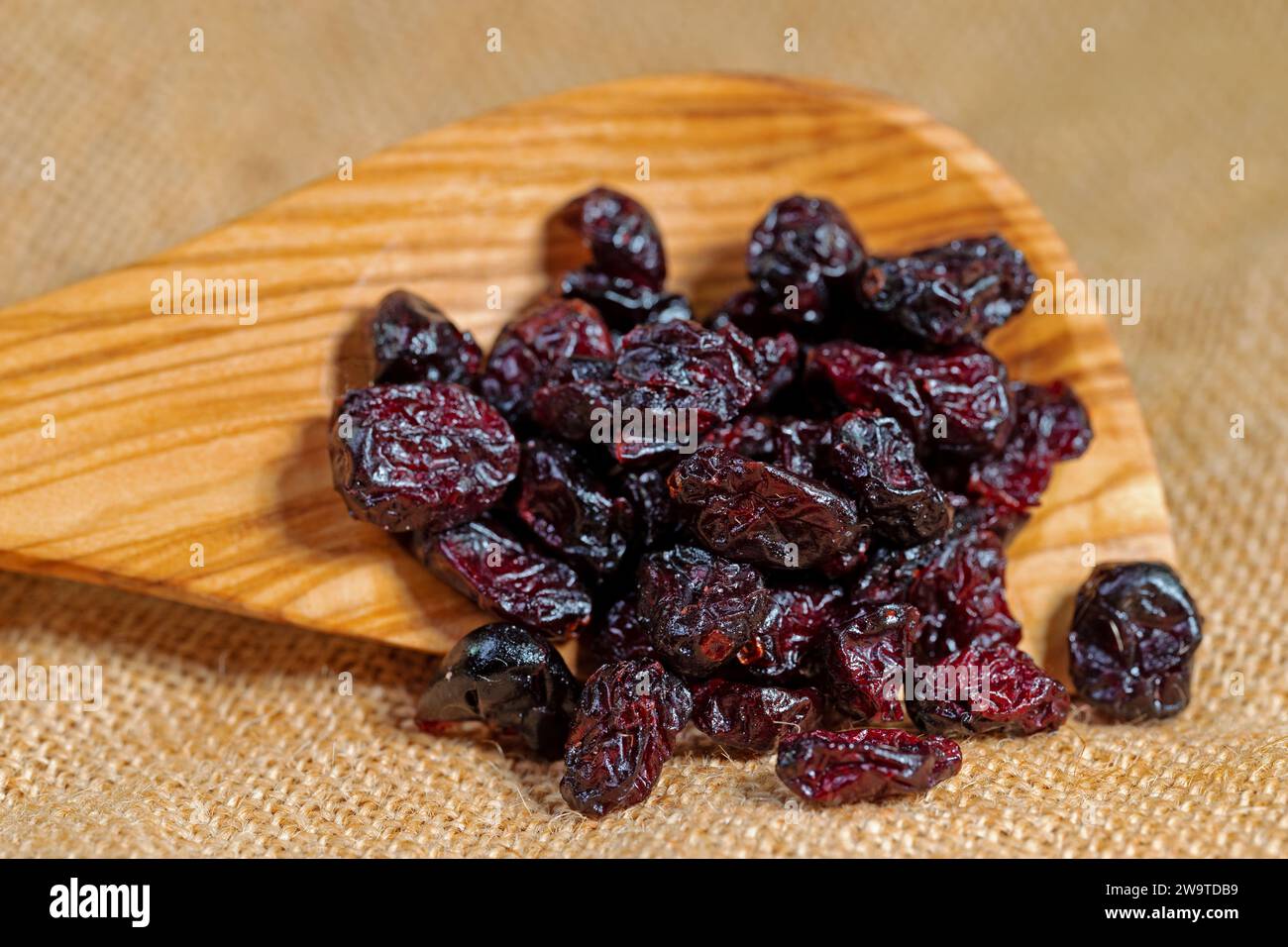 Dried cranberries on a wooden spoon Stock Photo