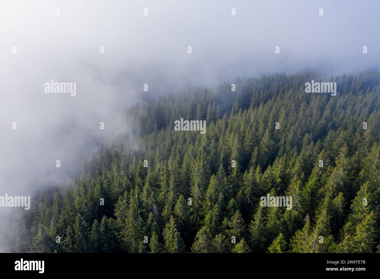 Aerial view thick fog covering hi-res stock photography and images - Alamy